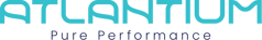 Logo blue