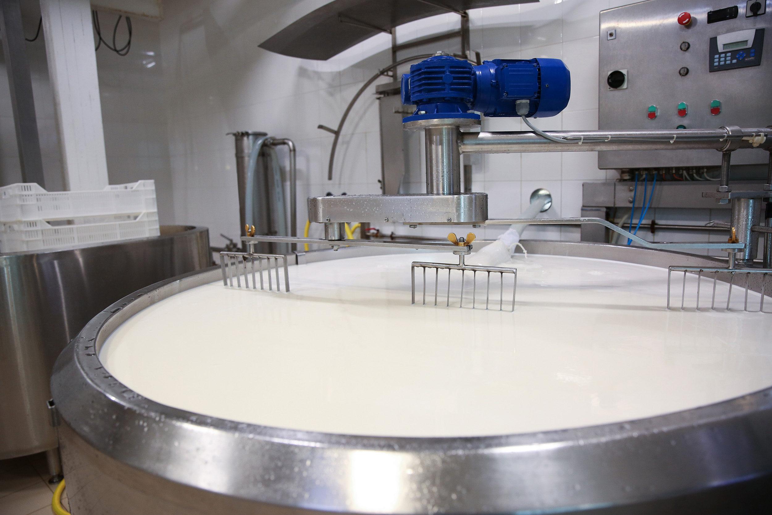 High Desert Milk, USA